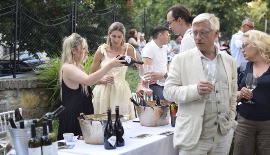 izdvojeno grašac - sorta od koje očekujemo neočekivano vinski magazin vino fino