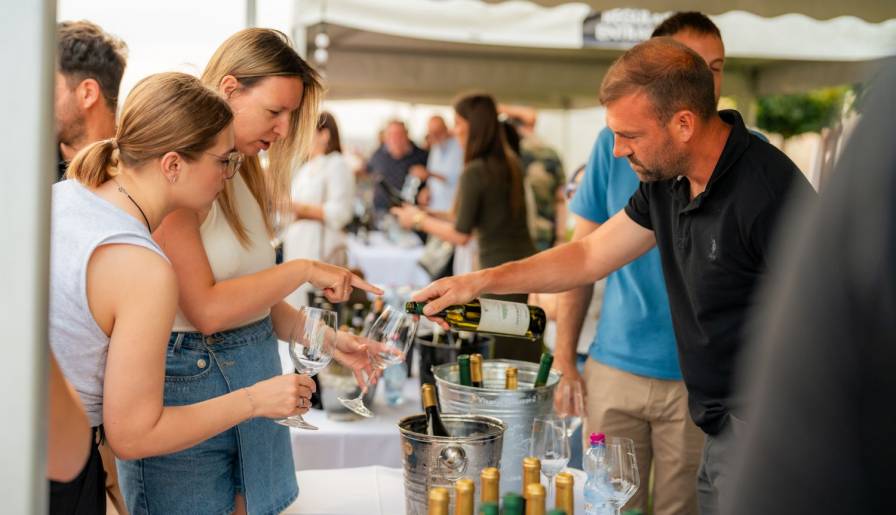 izdvojeno jun u znaku grašca vinski magazin vino fino