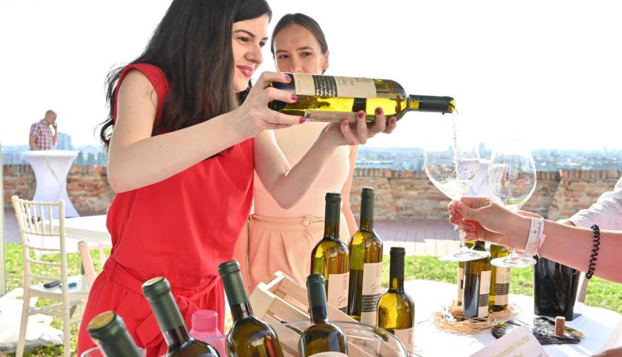 izdvojeno najbolji grašci na okupu u konaku kneginje ljubice vinski magazin vino fino