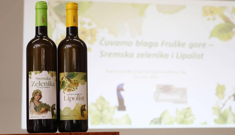 izdvojeno novi život starih sorti - sremske zelenike i lipolista vinski magazin vino fino