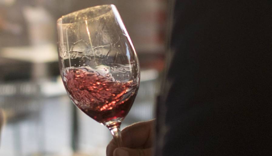 izdvojeno otkrijte 14 oktobra sva lica prokupca vinski magazin vino fino