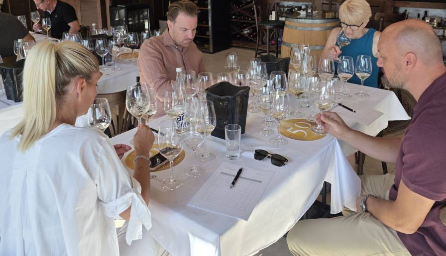 izdvojeno počeo izbor za top 50 vina fruške gore vinski magazin vino fino