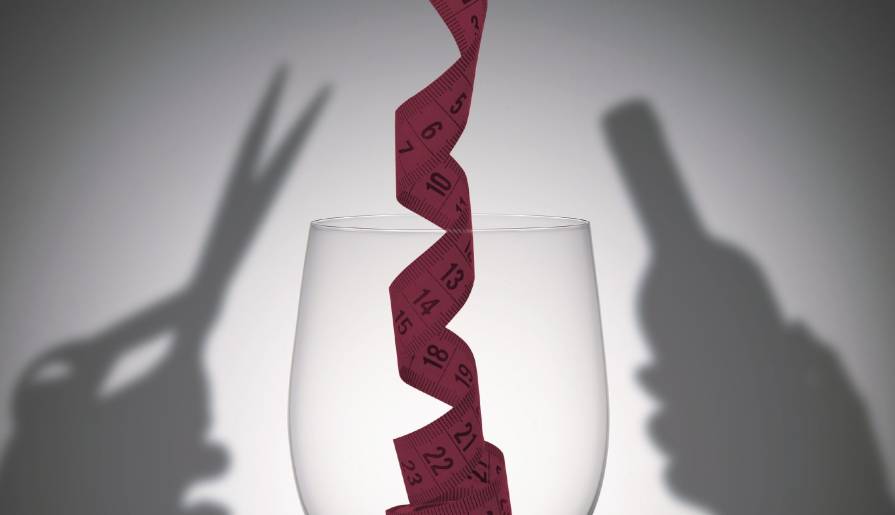 izdvojeno srpski kroj a francuski štof vinski magazin vino fino