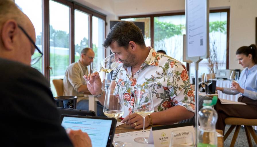 izdvojeno trofeji za srpske grašce na grow du monde vinski magazin vino fino