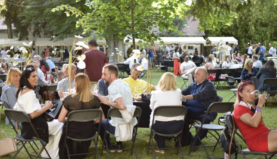 izdvojeno uzlet vinskog banata vinski magazin vino fino