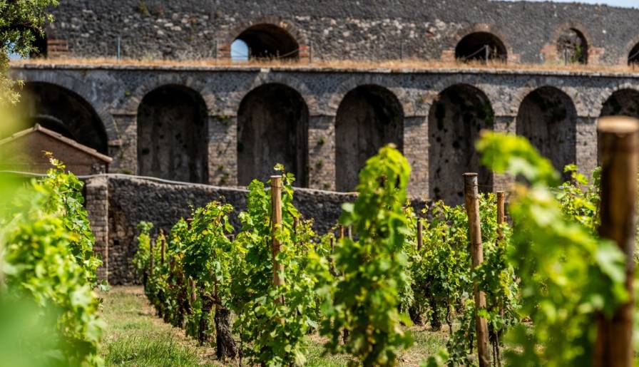 izdvojeno vino u senci vezuva vinski magazin vino fino