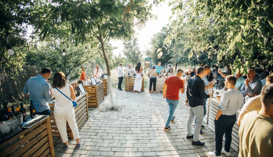 izdvojeno vinska magija ravnice vinski magazin vino fino