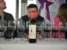 novost nastavlja se renesansa prokupca vinski magazin vino fino