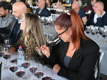 novost nastavlja se renesansa prokupca vinski magazin vino fino