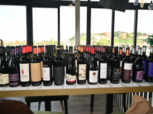 novost nastavlja se renesansa prokupca vinski magazin vino fino