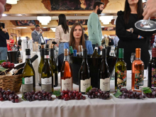 novost trijumfalni povratak novosadskog salona vina vinski magazin vino fino