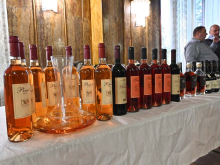 novost trijumfalni povratak novosadskog salona vina vinski magazin vino fino