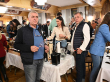 novost trijumfalni povratak novosadskog salona vina vinski magazin vino fino
