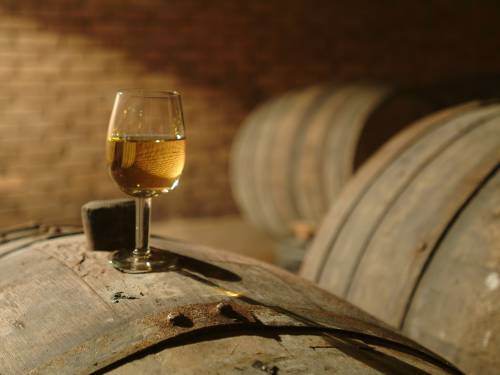 novost amerika otkriva vinsko bogatstvo istočne evrope vinski magazin vino fino