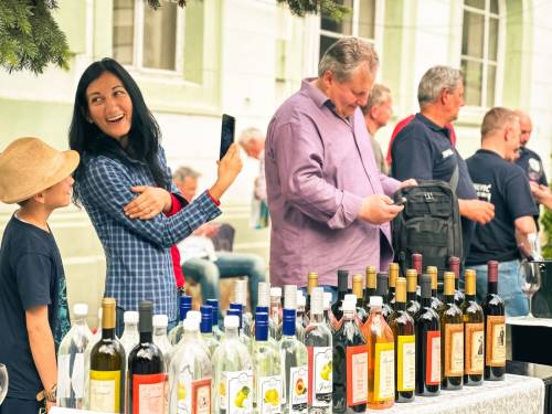 novost banatski festival vina Šta vas sve čeka ove subote u zrenjaninskoj gradskoj bašti vinski magazin vino fino