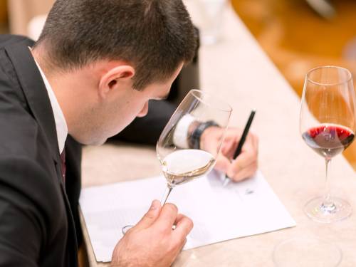 novost bira se novi najbolji somelijer u srbiji vinski magazin vino fino