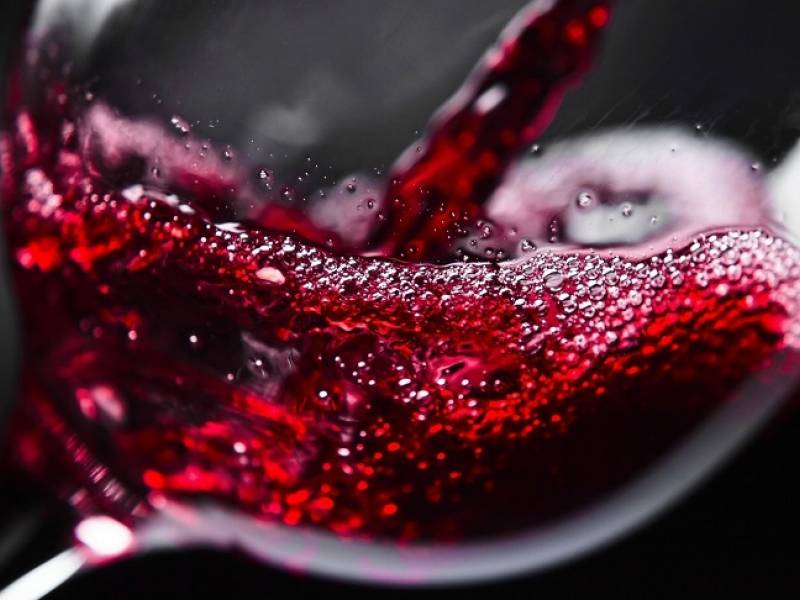 novost dan prokupca 14 oktobar vinski magazin vino fino