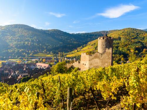 novost francuski vinari nalazimo se u najvećoj krizi u istoriji vinski magazin vino fino