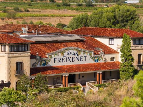 novost freixenet zbog suše deklasifikuje čuveni penušavac vinski magazin vino fino