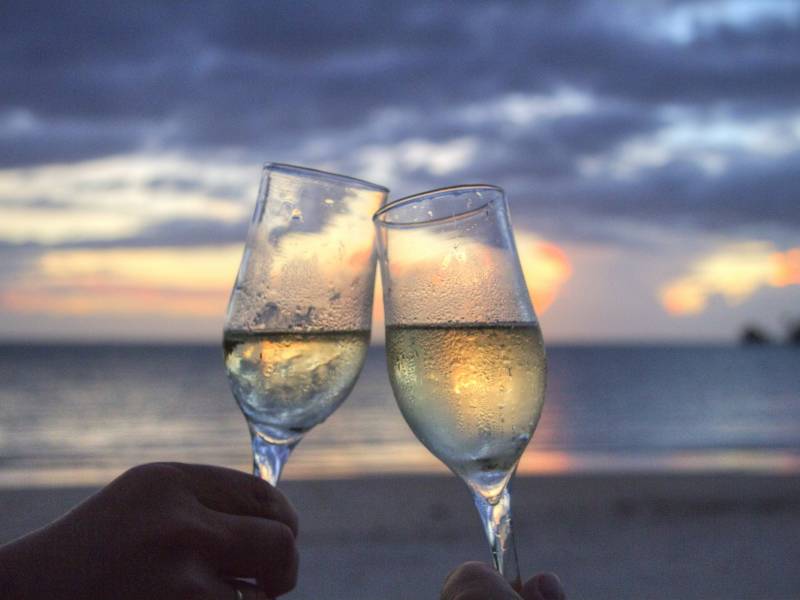 novost gastro pregled odlična letnja sezona vinski magazin vino fino