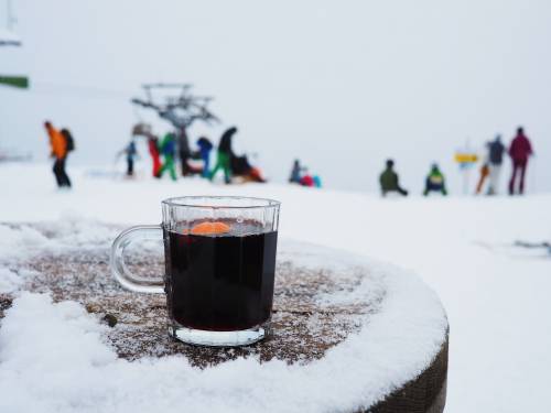 novost gastro pregled svi putevi vode na kopaonik vinski magazin vino fino