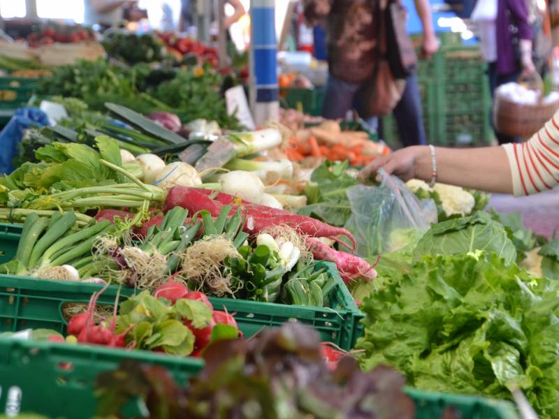 novost gastro pregled Živele pijace vinski magazin vino fino