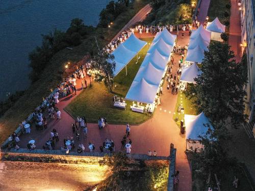 novost grašac - jedna sorta a toliko različitih vina vinski magazin vino fino