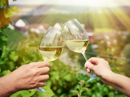 novost grašac se slavi u restoranima širom srbije vinski magazin vino fino