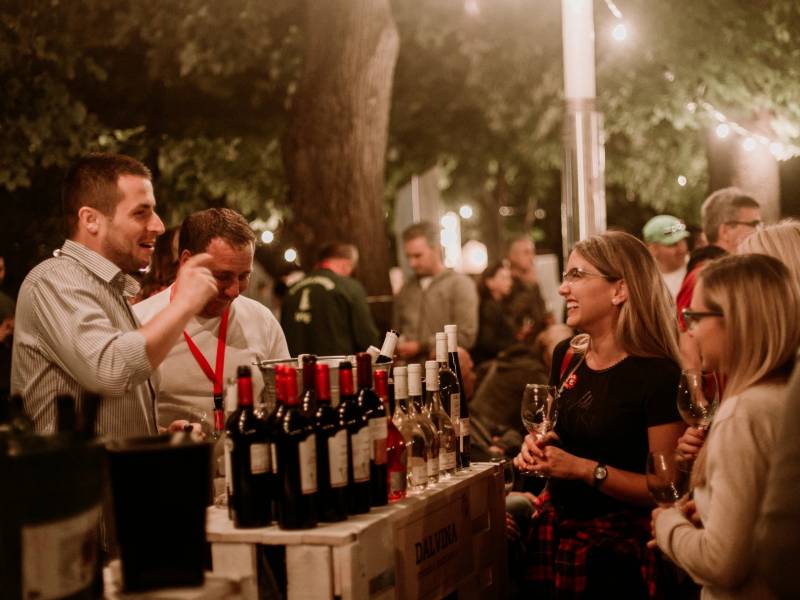 novost gruzija kolevka vina gostuje u sremskoj mitrovici vinski magazin vino fino