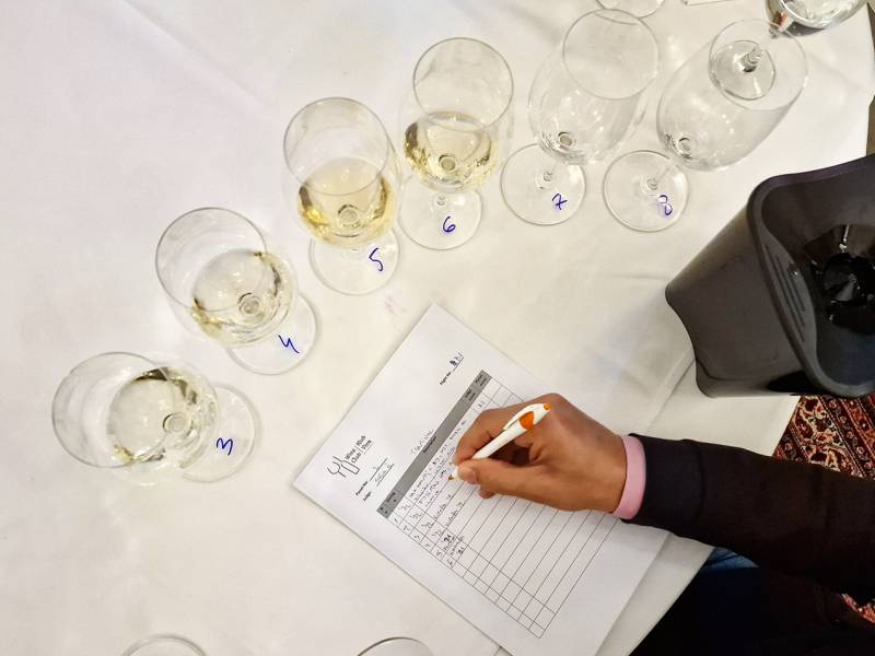 novost izabrana najbolja vina banata za 2023 vinski magazin vino fino