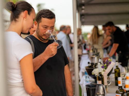 novost najbolja vina od grašca stižu u novi sad i beograd vinski magazin vino fino