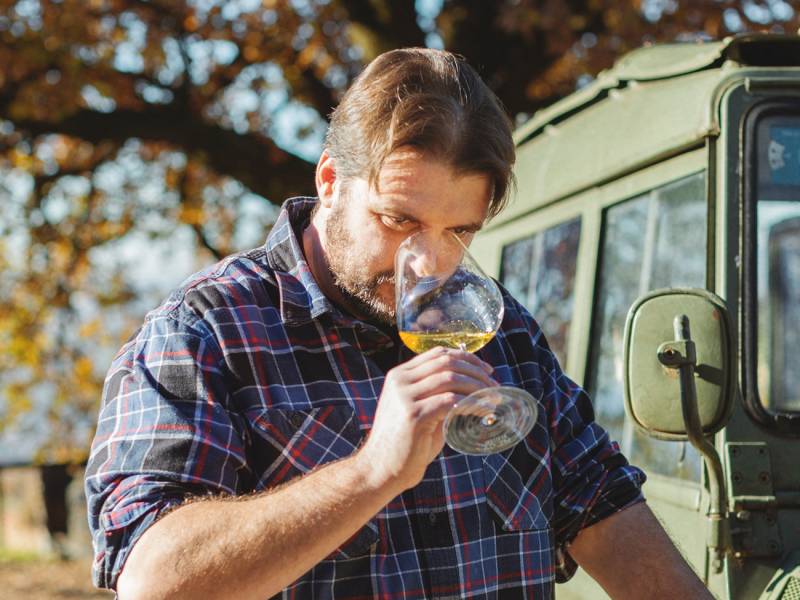 novost nikola gata vinska zvezda iz lombardije gostuje na večeri u beogradu vinski magazin vino fino