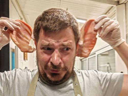 novost nikola nikolić u beogradu niko ne zaslužuje zvezdicu vinski magazin vino fino