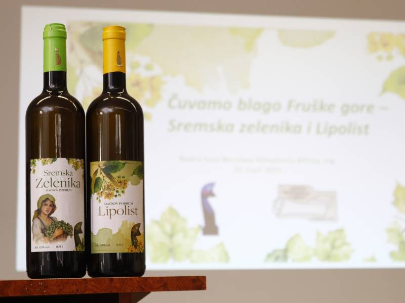 novost novi život starih sorti - sremske zelenike i lipolista vinski magazin vino fino