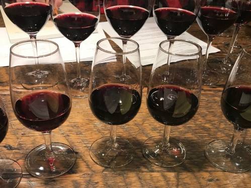 novost objavljeno 16 novih nosilaca titule master of wine vinski magazin vino fino