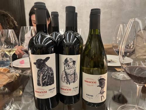 novost odbačeni nova limitirana serija vinarije deurić vinski magazin vino fino