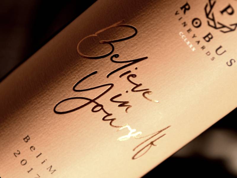 novost oranž iz srbije među 50 najboljih belih vina na svetu vinski magazin vino fino