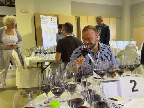 novost pet velikih zlata i 30 zlata za srpska vina na biwc-u vinski magazin vino fino
