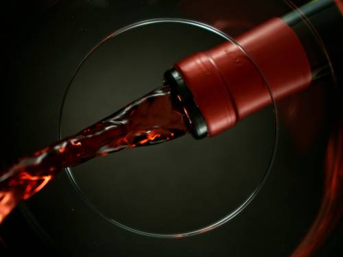 novost prokupac elegantan svestran i aktuelan vinski magazin vino fino