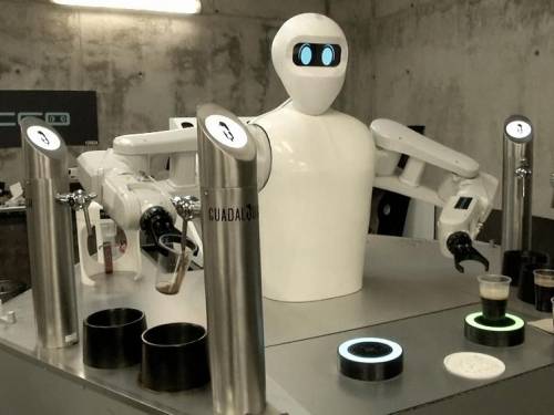 novost roboti toče pivo u barovima vinski magazin vino fino