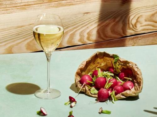 novost rotkvice i šampanjac neobičan ali srećan par vinski magazin vino fino