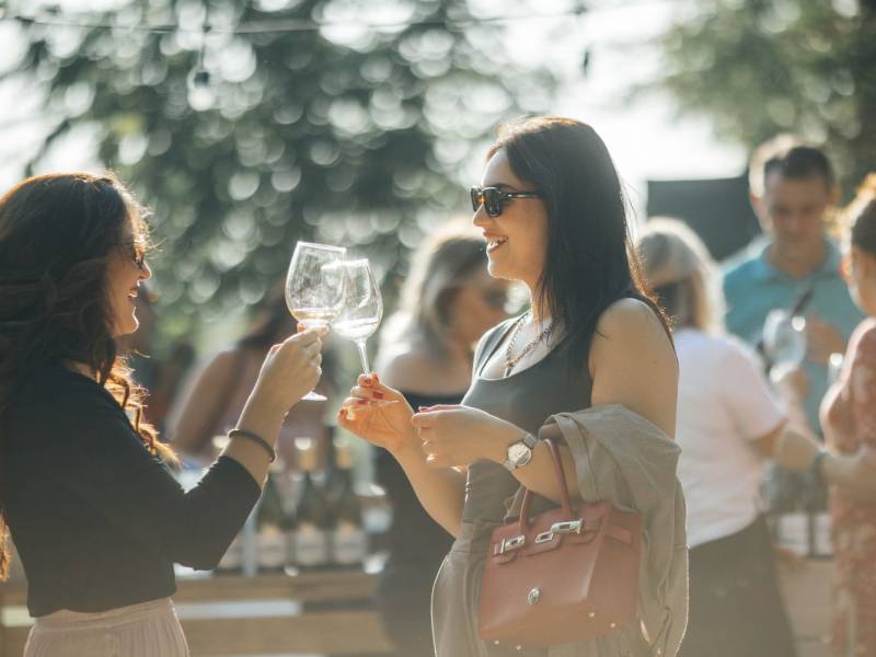 novost salaš wine fest 20 vinska magija ravnice vinski magazin vino fino