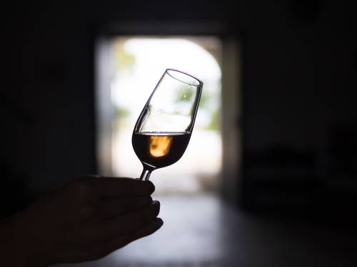 novost Šeri vremeplov u boci vinski magazin vino fino