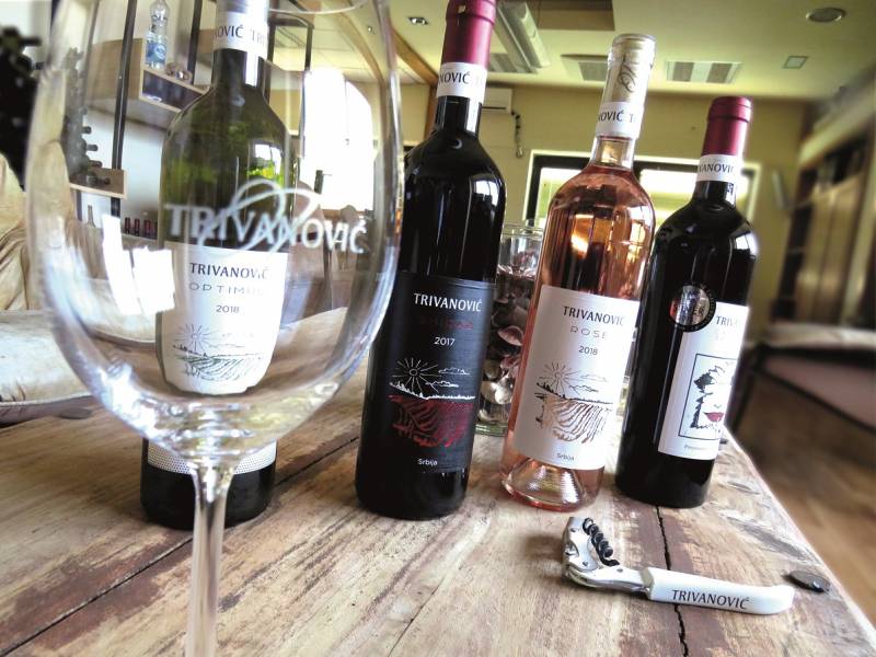 novost Šidski vinski bum vinski magazin vino fino