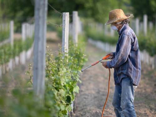 novost sporna odluka francuskih vlasti Šta posle bakra vinski magazin vino fino