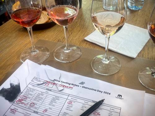novost stanušina nežna makedonska princeza vinski magazin vino fino