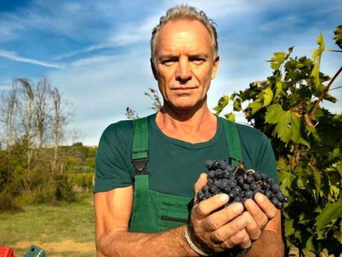 novost sting vina koja pravim podstiču razmišljanje vinski magazin vino fino