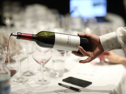 novost stručno vođenje kroz blago makedonskog teroara vinski magazin vino fino