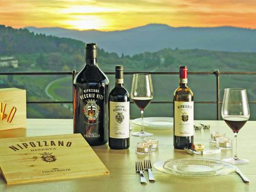 novost svaka boca - umetničko delo vinski magazin vino fino