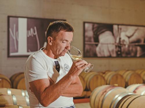 novost teran - sledeĆa velika stvar vinski magazin vino fino